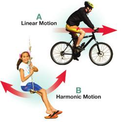 The pedaling action and turning of the cycle s wheels are examples of harmonic motion. Harmonic motion, also called oscillatory motion, is motion that repeats. Motion in cycles What is a cycle?