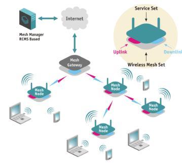 O reţea wireless mesh contine două tipuri de noduri: [23] - routere wireless mesh; - clienţi wireless mesh. Routerele mesh formează infrastructura magistrală (backbone).