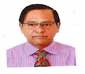 MR. NARAYANAN RANGASWAMY NELATUR He joined the Safal Group in 1996 and is a core member of the Group s strategic team.