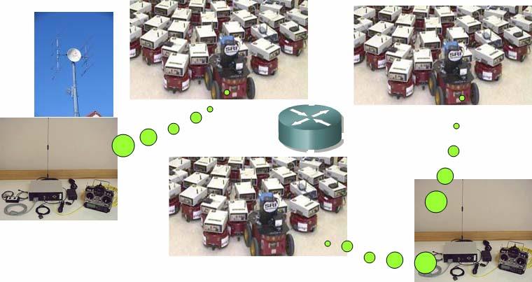 them, swarming is an emerged popular subject (see Fig.4).
