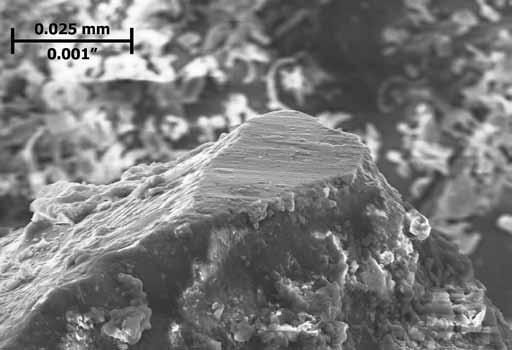 The hairs on the fly s legs are 3μm thick, about the same thickness as a chip produced when grinding hardened steel. The fly s eyes are each 0.