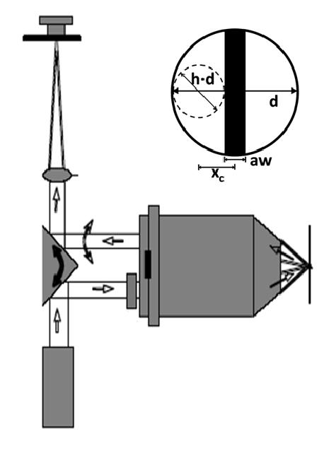 microscope. In addition, the model evaluated two pupil configurations: (1) full-pupil configuration [Figure 4] and (2) divided-pupil configuration [Figure 5].