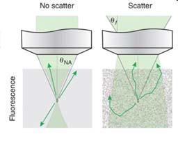 com/science lab MULTIPHOTON MICROSCOPY Imaging in scattering tissue and deep into tissue Pulsed infrared laser (700 1500nm)