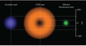STIMULATED EMISSION DEPLETION MICROSCOPY : STED In STED, an initial excitation pulse is focused on a spot.