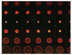 imaging a PS-speck bead Molecular