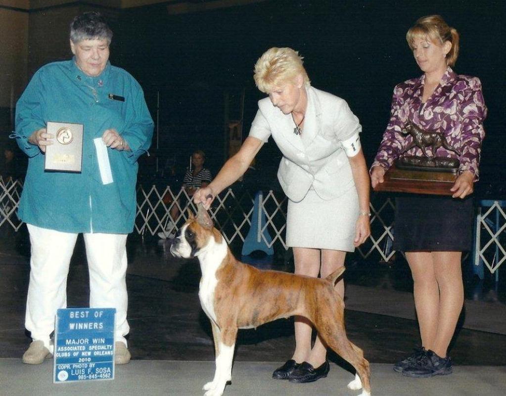 Dam of Merit With Most Performance Titled Get CH Parasol Moonwind Hallelujah DOM Sire: CH Kelly s Love Me Tender at Shalsade Dam: CH Parasol Moonwind Irish