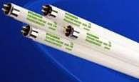 IMPROVED AMALGAM TECHNOLOGY More light output over a wider temperature range 90% light output from 5ºC to 75ºC New
