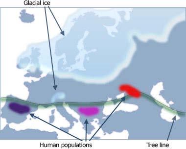 The other major European haplogroup, Ra, is common in eastern Europe and has also spread across into central Asia and as far as India and Pakistan.