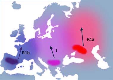 Spread of Haplogroups Rb, I and Ra (, years ago) (Reproduced by permission of DNA Heritage) The main Clan Donnachaidh haplogroup is Rb.