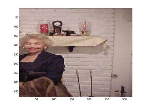 A. Example 1: Our Picture Below is a picture taken with a Sony Digital Mavica camera that uses diskettes. The picture has a JPG format.
