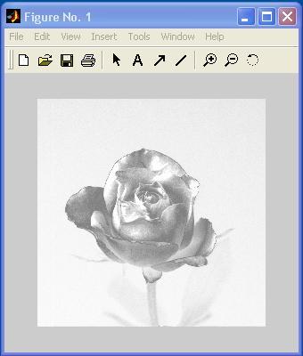2 Creating Image Effects In Exercise 1.3, we create a mask image and use it along with a Boolean operator to crop the rose image.
