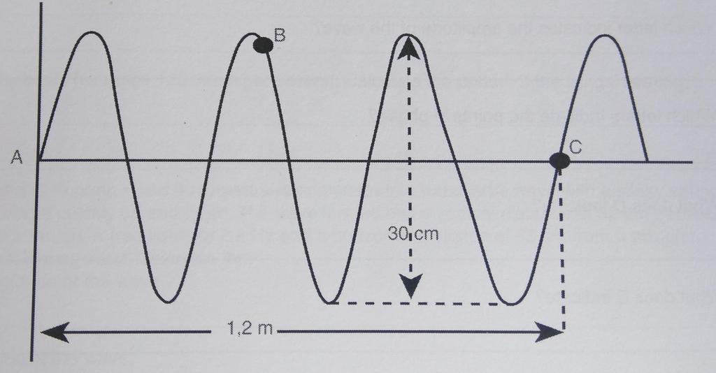 Exercise 3 The following diagram represents a wave with a frequency of 10Hz. 5.1 Calculate the wavelength of the wave 5.