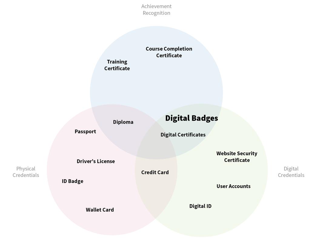 A Comprehensive Guide to Digital Badges 3 What are Digital Badges? Simply put, a digital badge is an indicator of accomplishment or skill that can be displayed, accessed, and verified online.