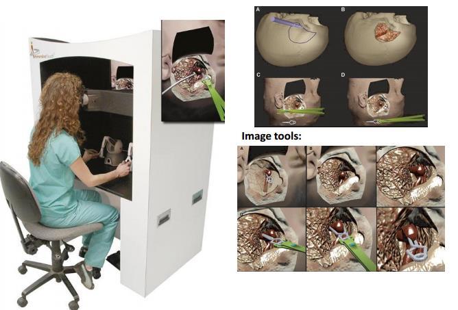 Virtual Reality Cerebral Aneurysm Clipping Simulation With Real-Time Haptic Feedback