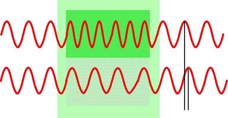 Differential interference contrast (DIC) Prisma (Nomarski) Specimen