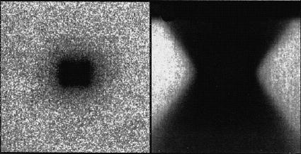 irradiated area ~ 10 x 20 µm) single-photon absorbtion (488 nm;