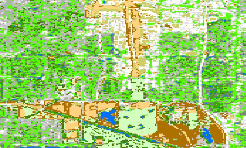 Determining Land Use Types Image Classification - Unsupervised Classification software clusters like-valued pixels and user defines what the