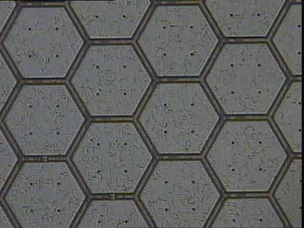 hexagonal array, comprehensive of