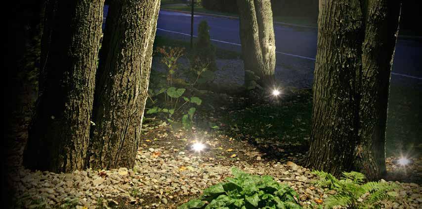 The all-in-one solution for landscape lighting Imagine the convenience and cost savings of having different light levels and a variety of beam patterns, all within a single LED luminaire.