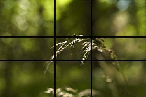Composition rules, period With this grid in mind