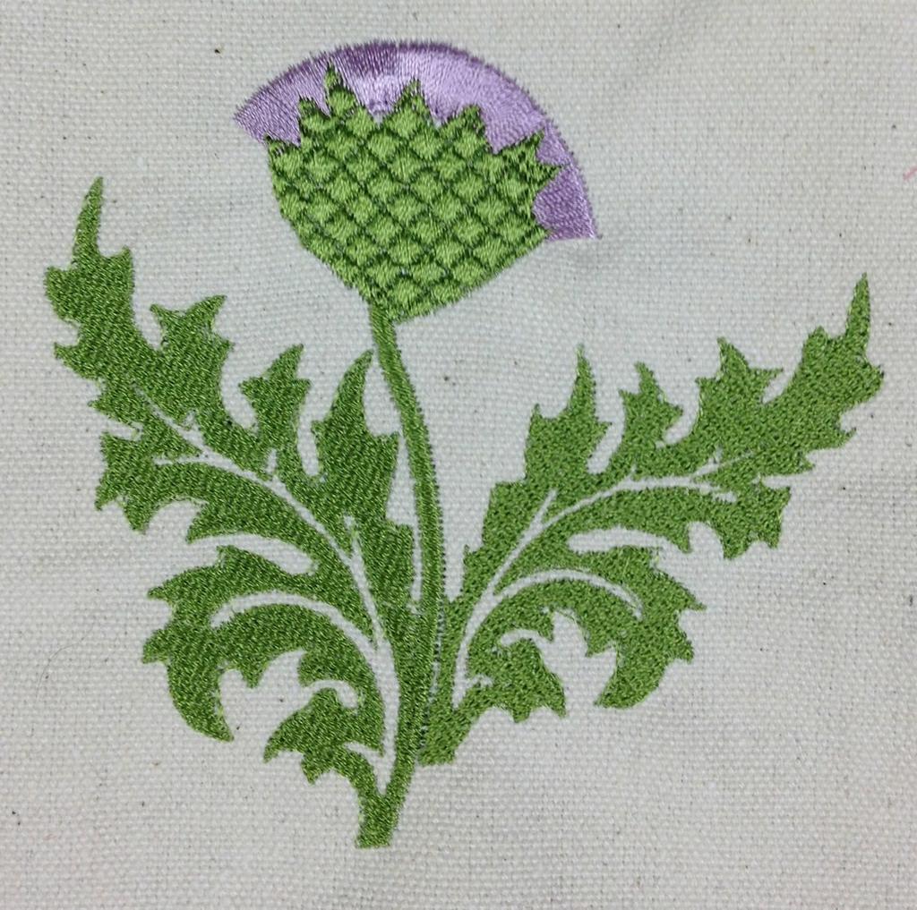 Fringe Example Three: Thistle I grew up on a farm and thistles were always a problem. They grew in the yard, the fields, and around the barn lots.