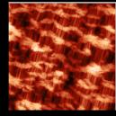 Microporous polypropylene membrane SCD probe allows visualizing both the large-scale corrugations and tiny details on AFM