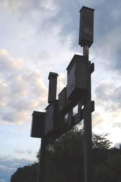 Bat Houses Whether you are looking to encourage bats, or are giving them a home after they are excluded, bat houses are a great way to provide roosting habitat for bats.