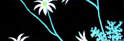 Judith Rostron Flannel Flowers Acrylic