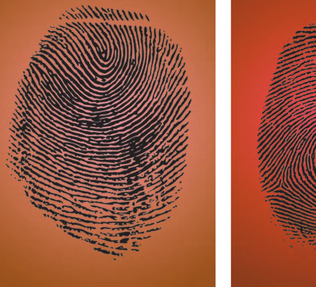 Chapter 4 Fingerprints Objectives After reading this chapter, you will understand: Why fi ngerprints are individual evidence. Why there may be no fi ngerprint evidence at a crime scene.