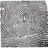 Composites (a mixture of two or more basic patterns) and accidentals (prints too irregular to fall into any other group) make up about 10 percent of all fingerprints.