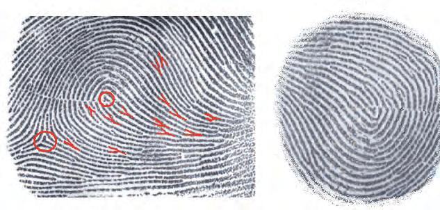 Teacher Note This sort of algorithm is the basis of the FBI s Automated Fingerprint Identifi cation System (AFIS). For your convenience, Figure 4.12 can be found on the TRCD as Blackline Master 4.