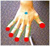 As we described, when we separate the hand contour in one image, we also locate the point that has the maximum distance value in distance transformation and consider it as the center point of the
