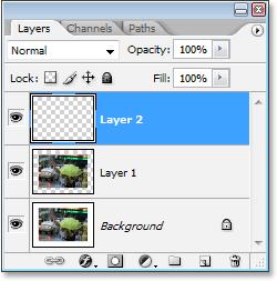 Again, nothing appears to have happened to the image itself, and that s because our new layer is currently blank, but we can see the new layer at the top of the Layers palette.