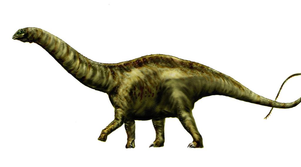 Species: Brontosaurus Role: The Rebel 1. You were gone for so long everyone else thought you had disappeared some even said you had never existed at all. Where were you all this time? 2.