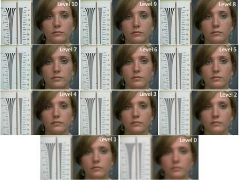 commercial SDK) on real blurred face images based on a quantified group of different out-of-focus blur levels. 3.1.