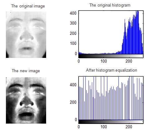Figure 2-7 the results of the histogram equalization III. INFRARED FACE RECOGNITION ALGORITH At present, there are two algorithms widely used in the field of face recognition.