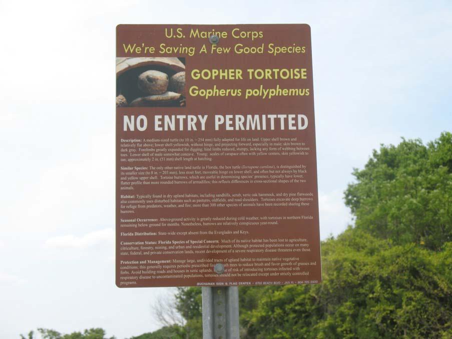 Gopher Tortoise Actions implemented include: Signage posted to prevent