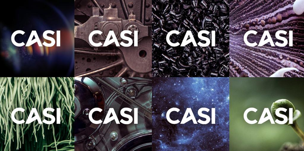 expressing the 3 CASI