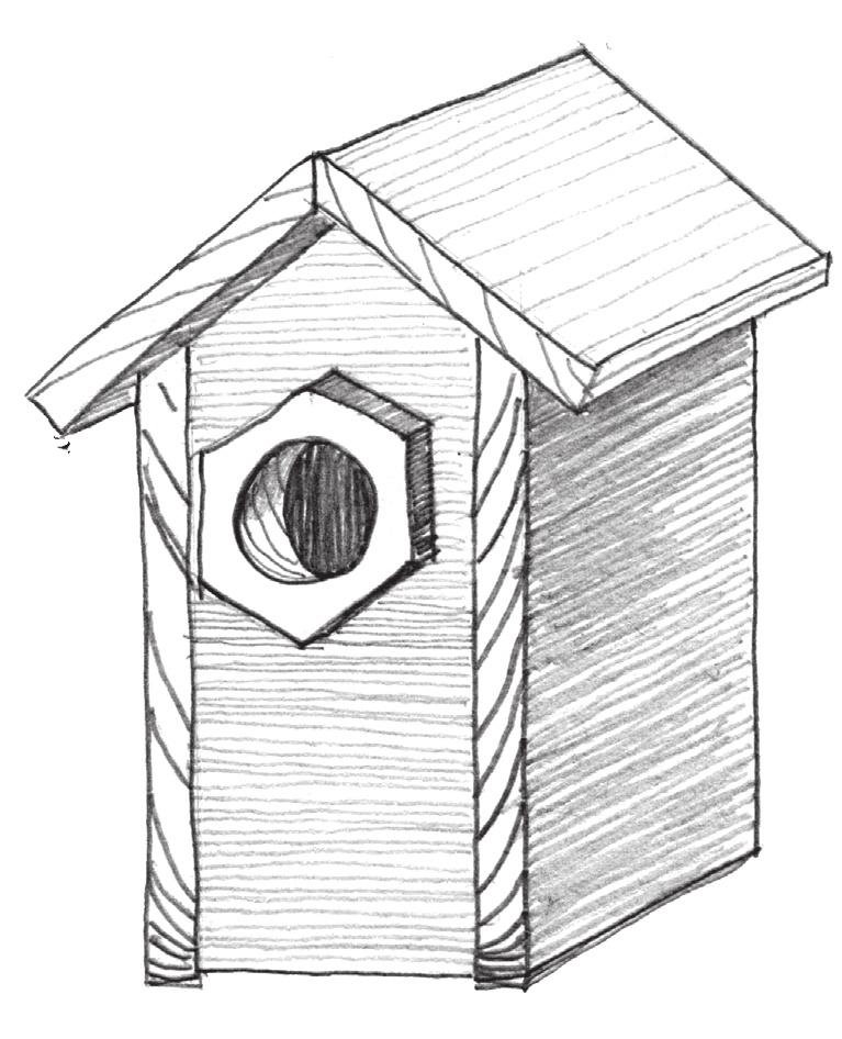 farms, and roadsides Runoff Pond Nest: Constructed of grass and pine needles inside a natural cavity or a wooden nest box Prairie Agriculture Diet: Primarily insects but also fruit in the winter