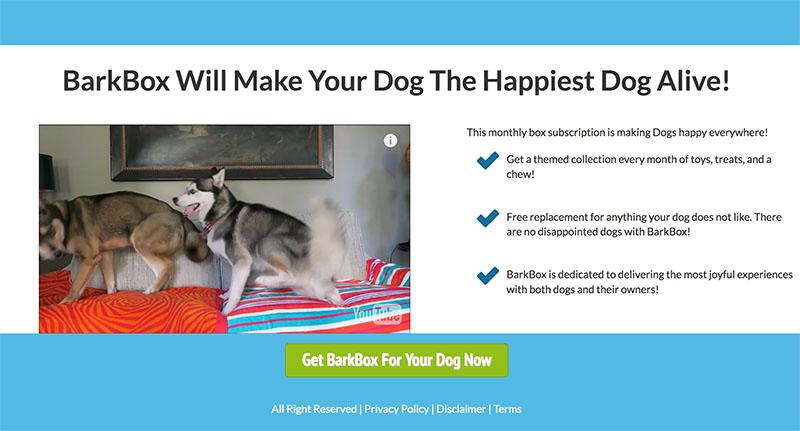 As you can see, it is a very simple landing page that highlights some of the benefits of getting BarkBox for your dog.