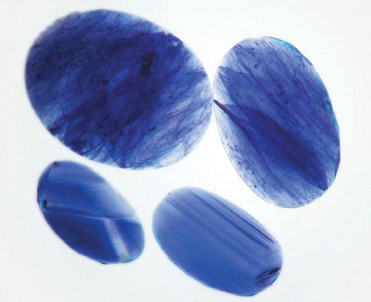 When viewed with transmitted light field illumination, rich blue colour concentrations are found in