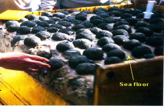 Seabed Minerals Act 2009 Commencement: 1 March 2013 Establishes the legal framework for efficient management of the