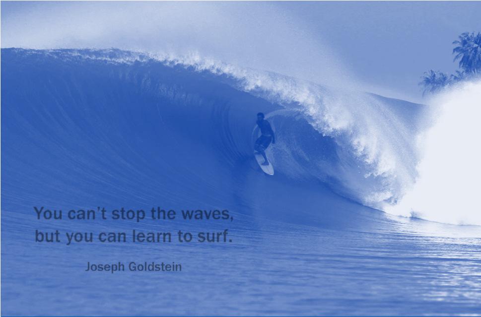You can t stop the waves, but you can learn to