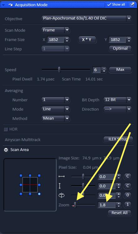 Set the AiryScan channel colour, if desired. Expand the Acquisition Mode panel.