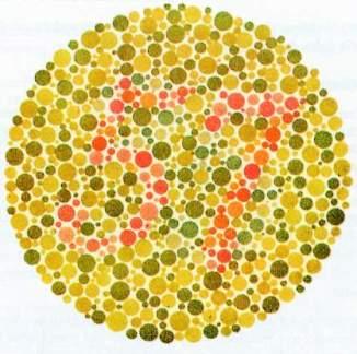 These patterns appear the same to color blind people whereas the normal viewer can detect a