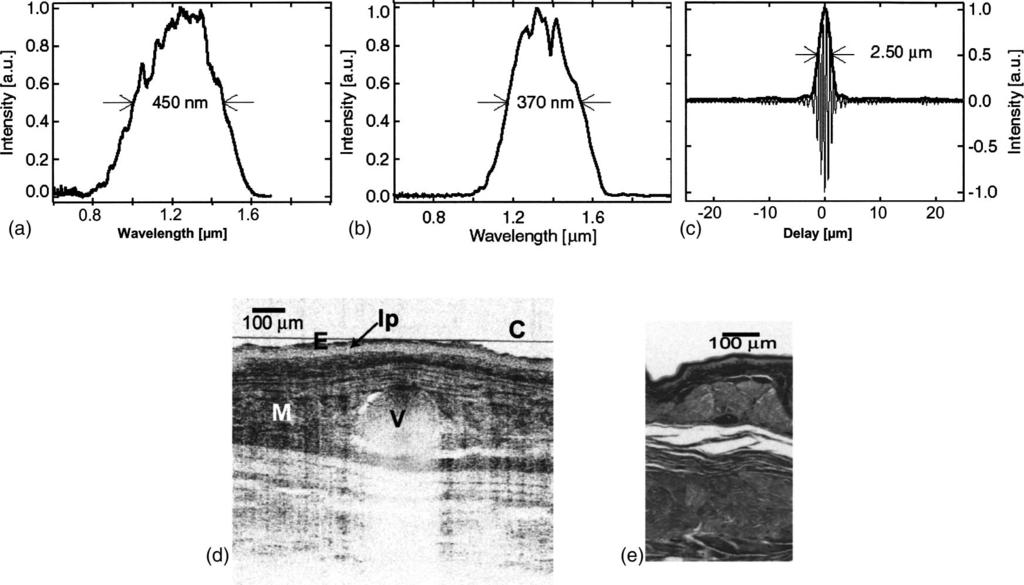 Ultrahigh-resolution optical coherence tomography Fig. 21 Ti:sapphire-pumped PCF-based light source. With a bandwidth of 450 nm at a 1.3- m center wavelength (a), 2.