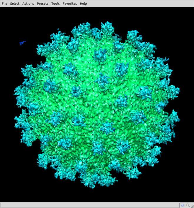 structures of Dengue virus CWAIP, NUS [2] M. Li, Z. Fan, H. Ji and Z.