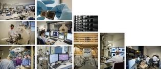 Scientific platforms in health & biology Biocomputing (bilille) Génomic Cell and tissue imaging (BICeL)