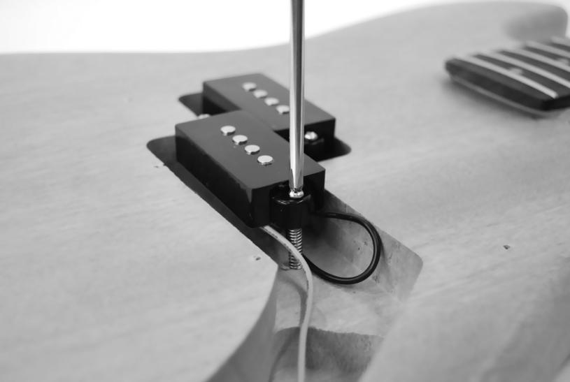 Push a spring onto each of the screws on the pickups.