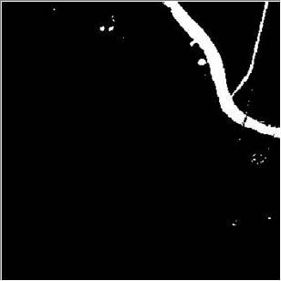Figure 11. Pixels classified as water (in white). Figure 13. Pixels classified as city (in white). Figure 1. Pixels classified as vegetation (white). of San Luis.